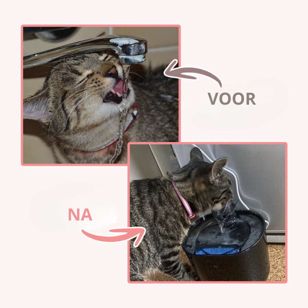PurrAqua™ – Automatischer Trinkbrunnen für Katzen