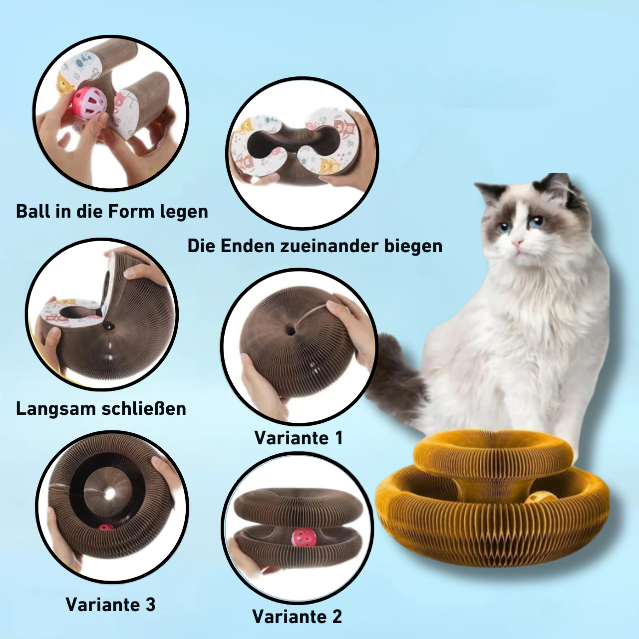 PouncePlay™ - Krabbenspiel mit Glocke