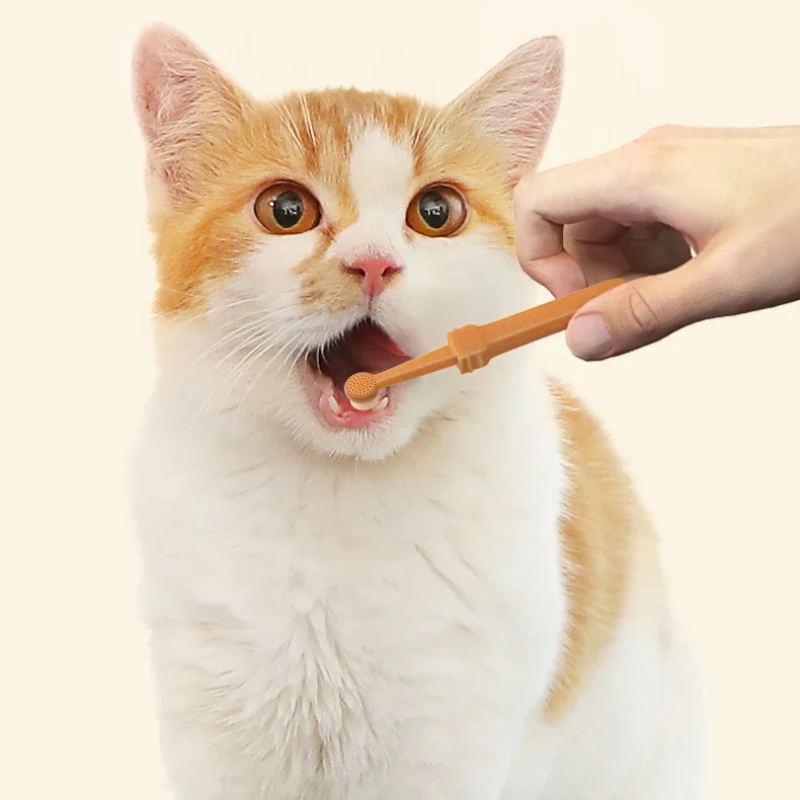 PawBrush™ Pet Toothbrush | 1+1 GRATIS