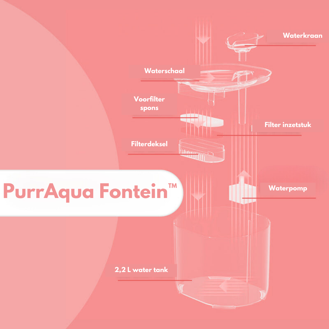 PurrAqua™ – Automatischer Trinkbrunnen für Katzen