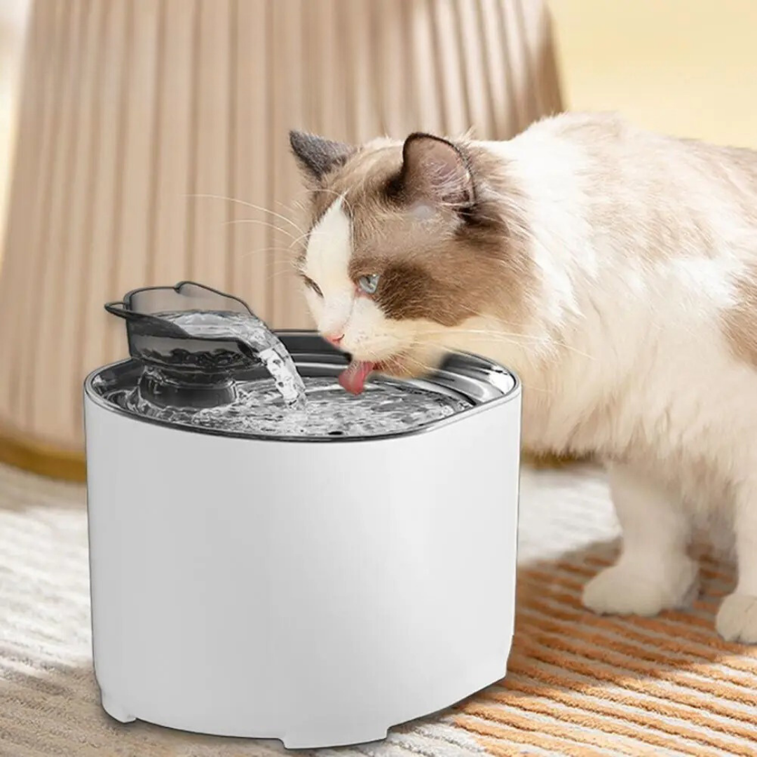 PurrAqua™ – Automatischer Trinkbrunnen für Katzen