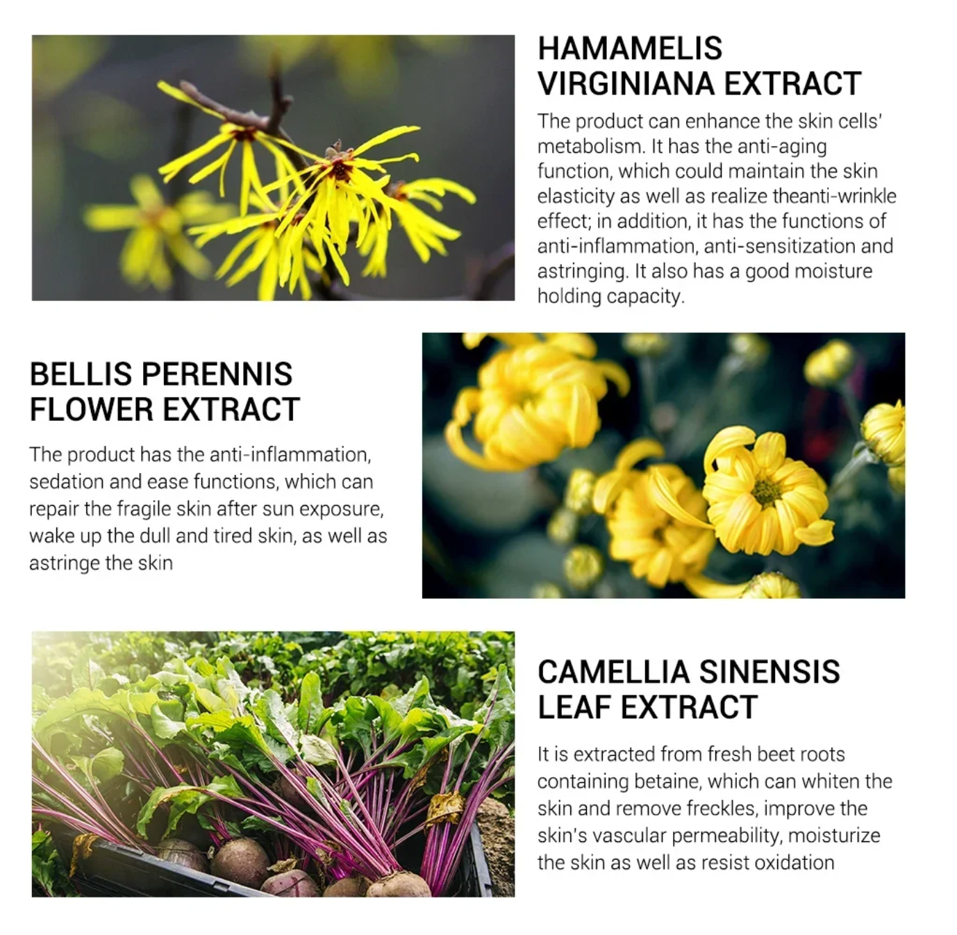 VelvaStick - Unsichtbare Grundierung für Poren  | 1+1 GRATIS