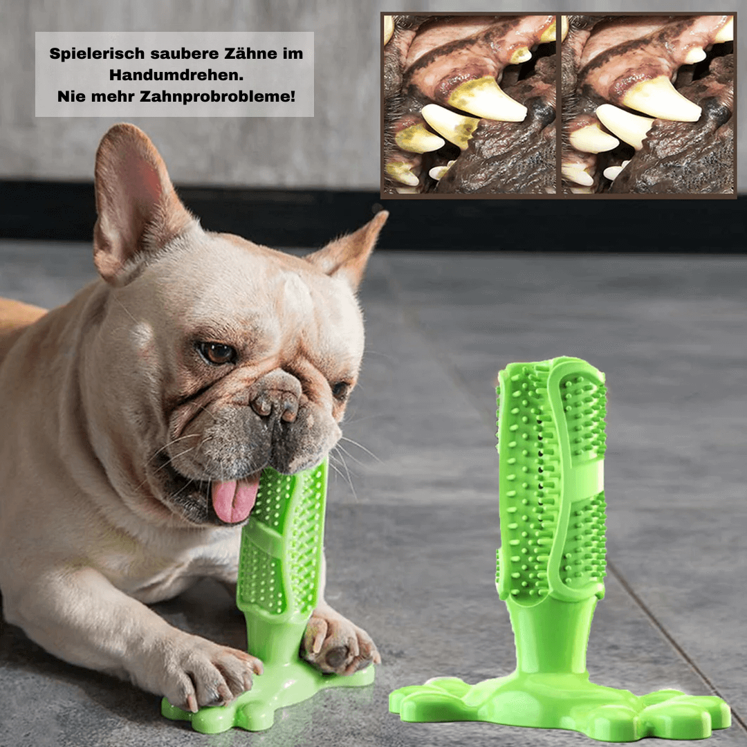 1+1 GRATIS | FurPal™ Zahnpflege für Ihren Hund!