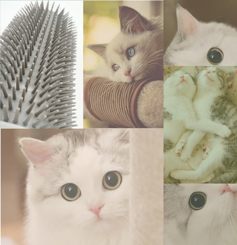 PurrBrush™ – Selbstmassage-Winkelbürste für Katzen | 1+1 GRATIS