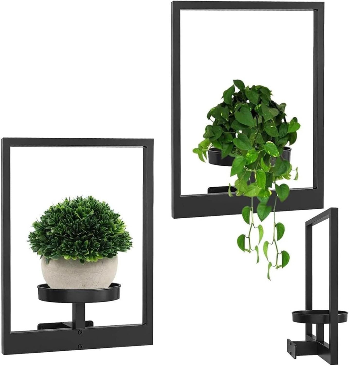 WallBloom™ – Bring Leben an deine Wand – ohne Platz zu verlieren! 1+1 GRATIS