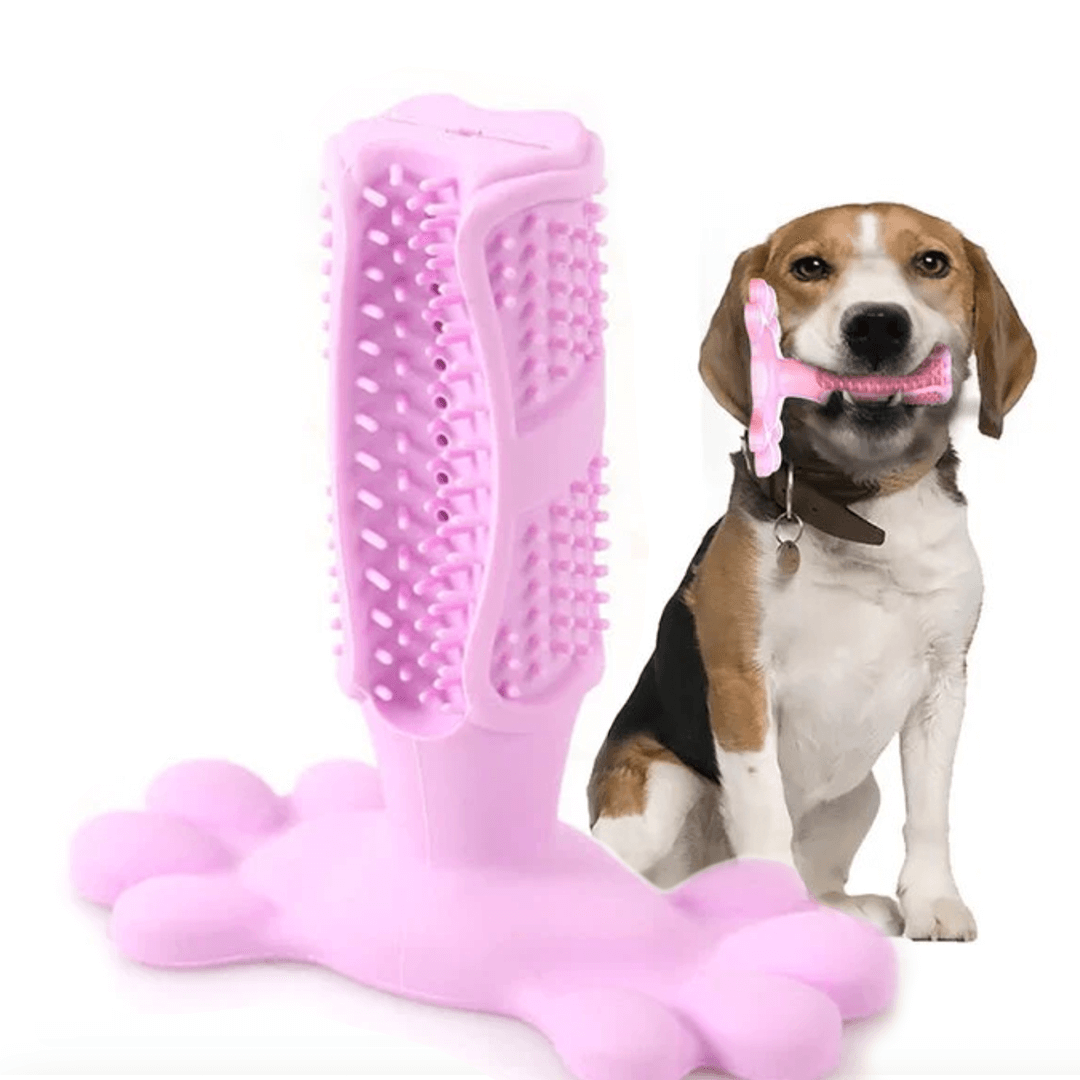 1+1 GRATIS | FurPal™ Zahnpflege für Ihren Hund!