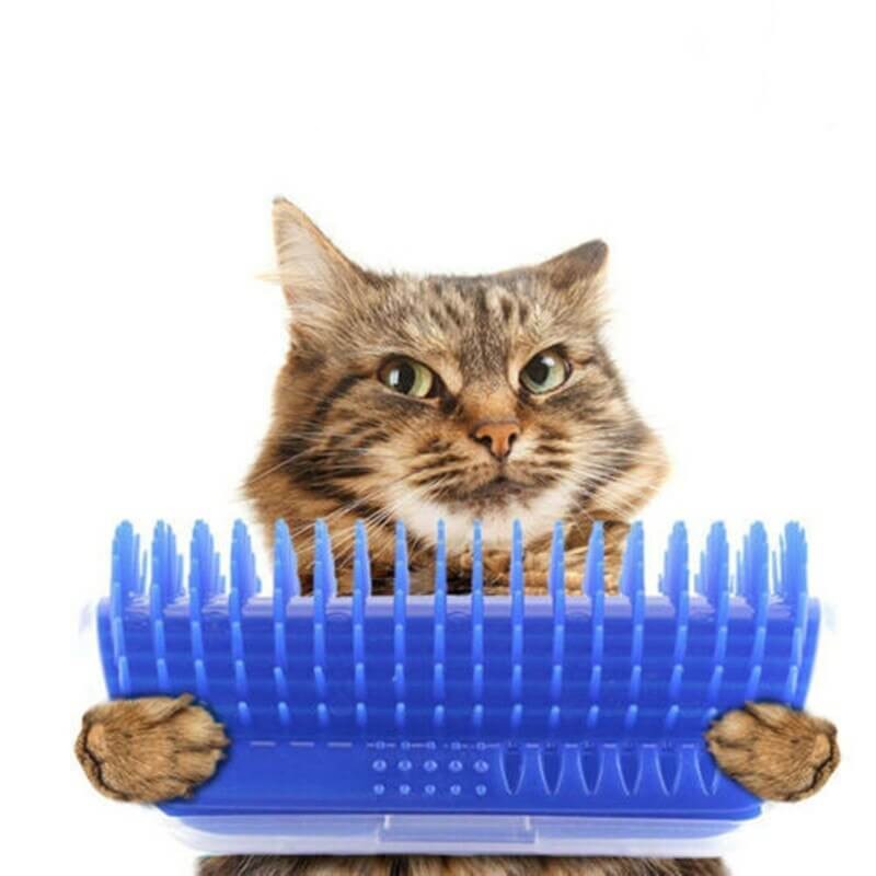 PurrBrush™ – Selbstmassage-Winkelbürste für Katzen | 1+1 GRATIS