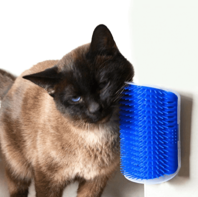 PurrBrush™ – Selbstmassage-Winkelbürste für Katzen | 1+1 GRATIS
