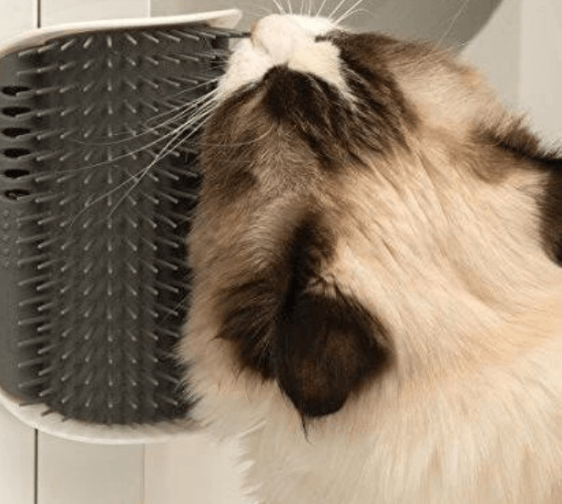 PurrBrush™ – Selbstmassage-Winkelbürste für Katzen | 1+1 GRATIS