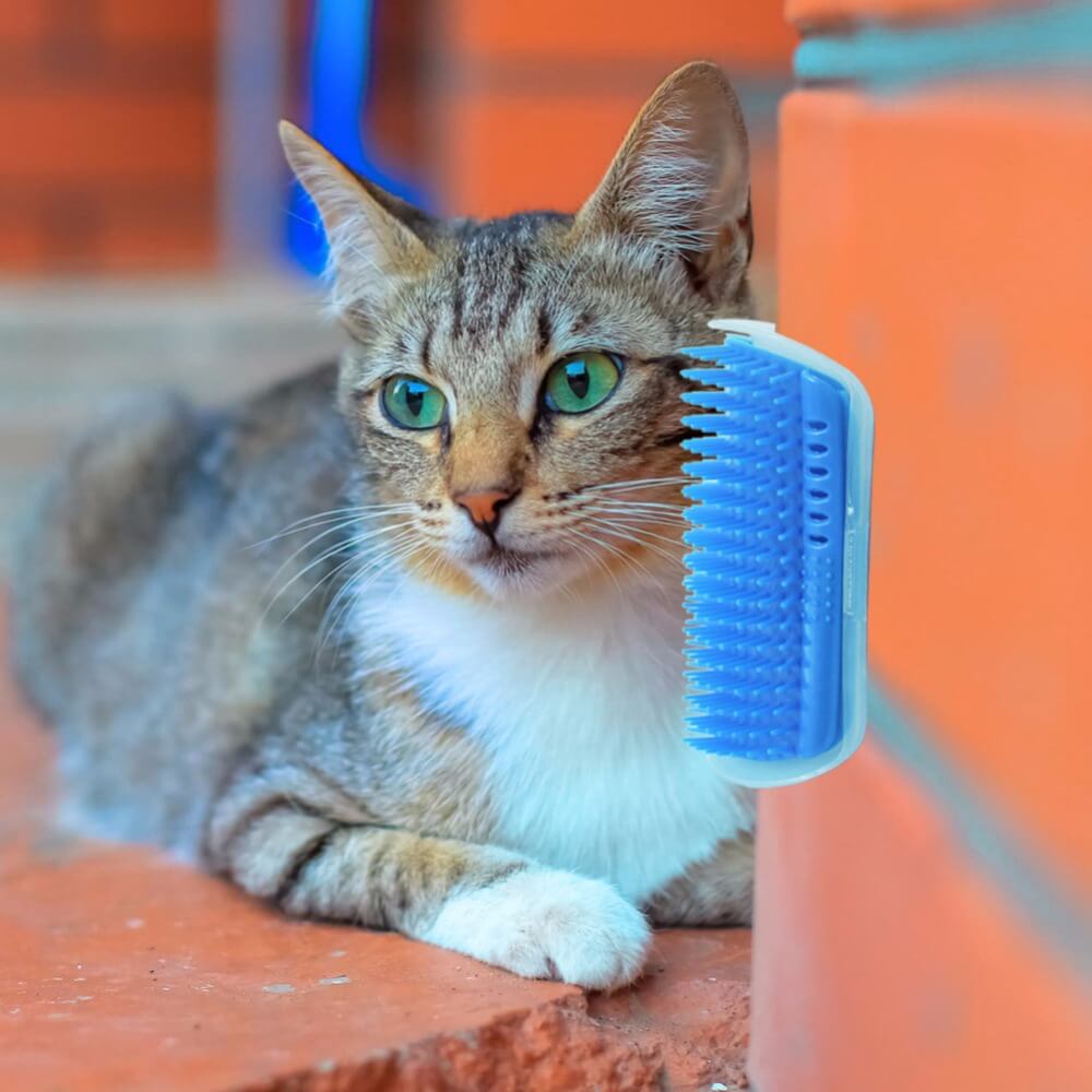 PurrBrush™ – Selbstmassage-Winkelbürste für Katzen | 1+1 GRATIS